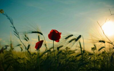 Mes outils contre l’anxiété