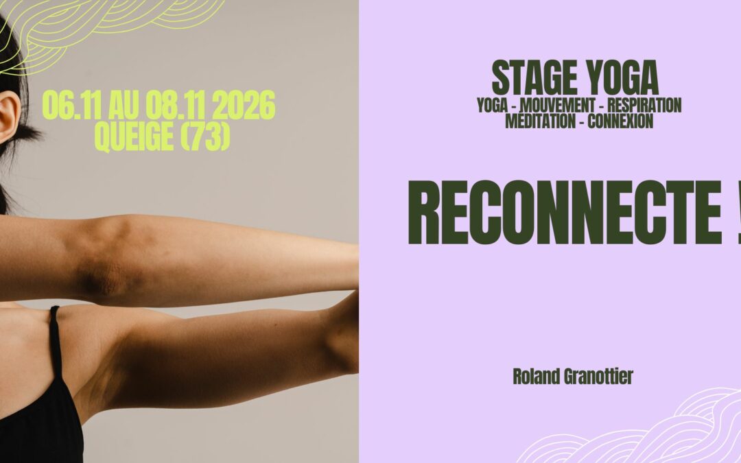 Stage Yoga – Reconnecte – Nov 26